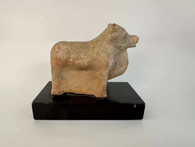 Antique Hellenistic Terracotta Bull, Circa 3rd - 1st C B.C.