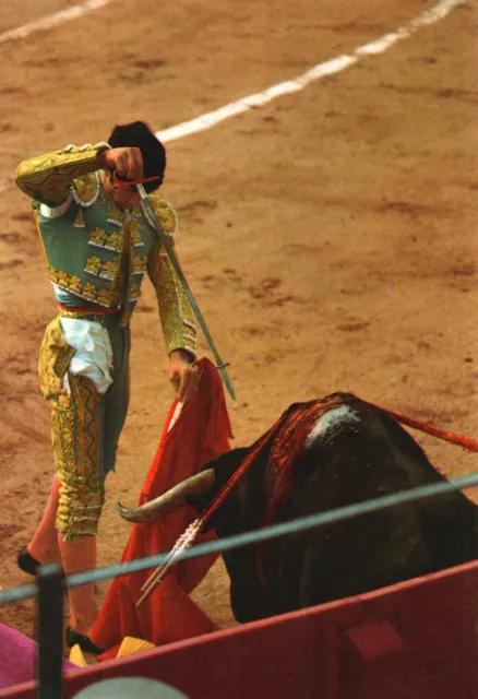 Vintage Postcard 1975 Corrida De Toros Descabello Spanish Bullfighting Spain