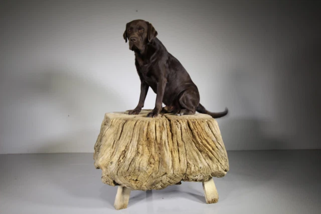 Massive English 18th Century Antique Oak Primitive Table