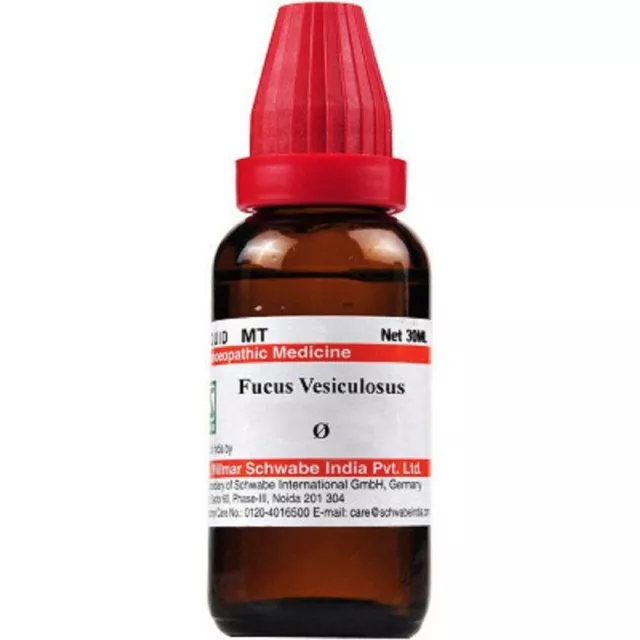 Willmar Schwabe India Fucus Vesiculosus Mother Tincture Q (30 ML)