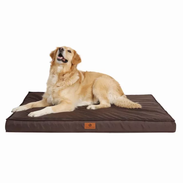 Brown Super Soft Medium Large Jumbo Dog Bed Orthopedic Memory Foam Pet Mattress