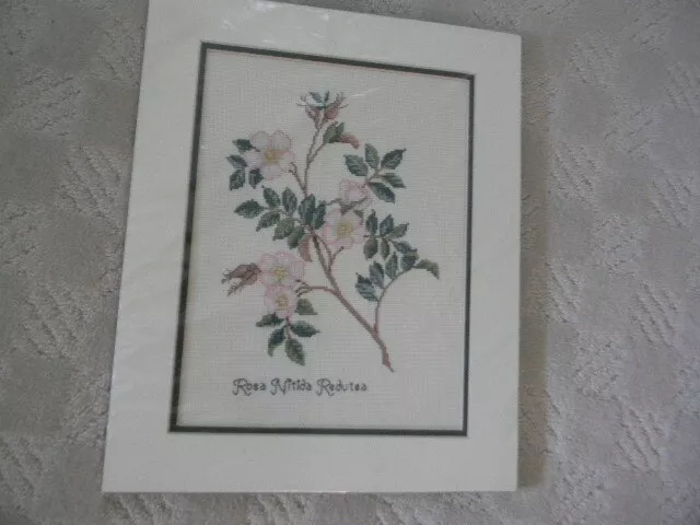 Completed Elsa Williams Rosa Cross Stitch Botanical Rose 13 x 16 JCA New