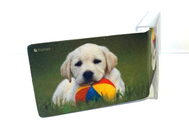 Le Pocket Glashandtuch Chiffon de Nettoyage Lunettes en Microfibres pour Balle