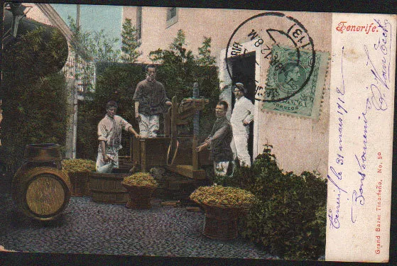 Antigua Postal Santa Cruz De Tenerife Canarias 1912   Postcard Postkarte Cc01226