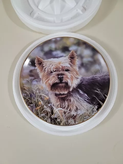 The Danbury Mint Collection Plate "Little Charmer" By Paul Doyle No. B6142 New