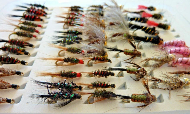 lot de 55 mouches Noyées peche truite Fishing WETS FLIES fly leurres cannes