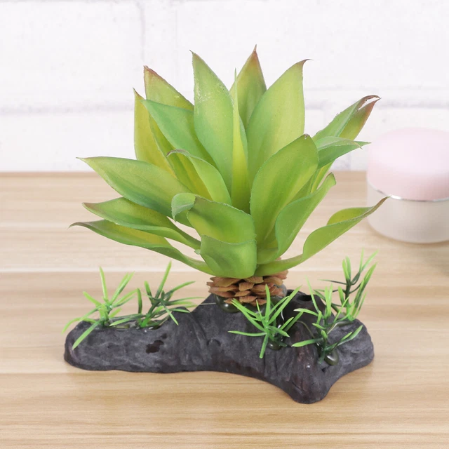Plantes En Plastique Sous-marines Plantes Artificielles Terrariums Un Verre