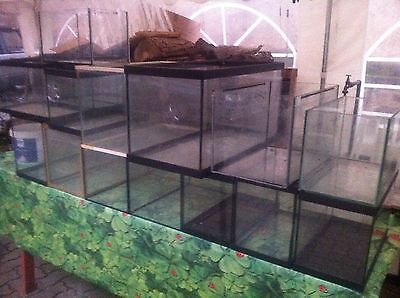 aquarium divers  cuves nues prix casses Bas Rhin  a partir de 5 euros