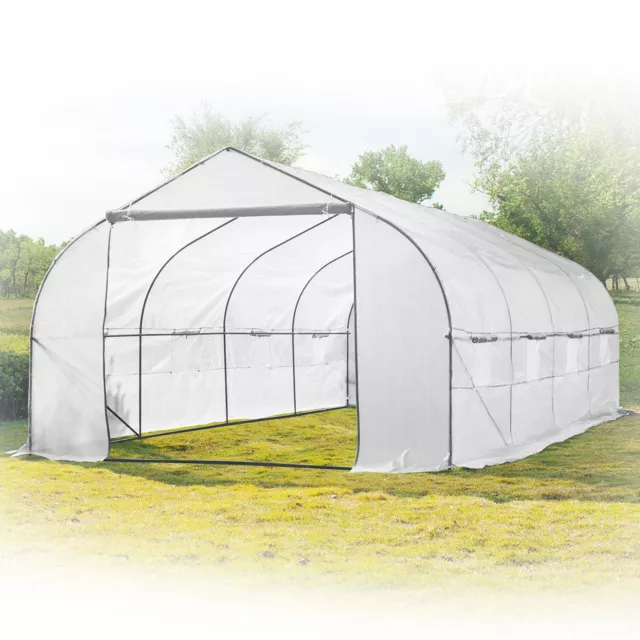 20ft Portable Walk-In Garden Greenhouse Outdoor Green House 20' L x 10' W x 7' H