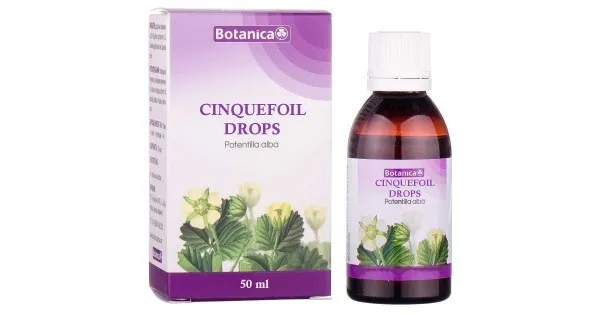Cinquefoil Drops Dietary Suppl Thyroid Support, Cholesterol Level, Tonic (50 Ml)