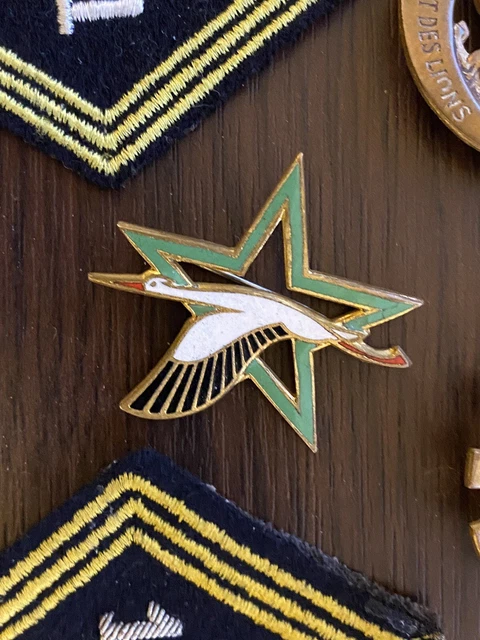 Insigne 38° RT REGIMENT DES TRANSMISSIONS époque AFN GUERRE ALGERIE
