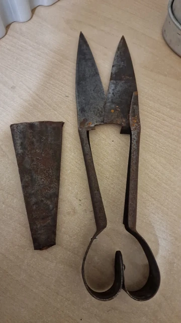 Buy Tagliarami Professionale 48 X 20 X 2,5cm Forbici Cesoie Utensili Da Giardino At Affordable - Foto 10