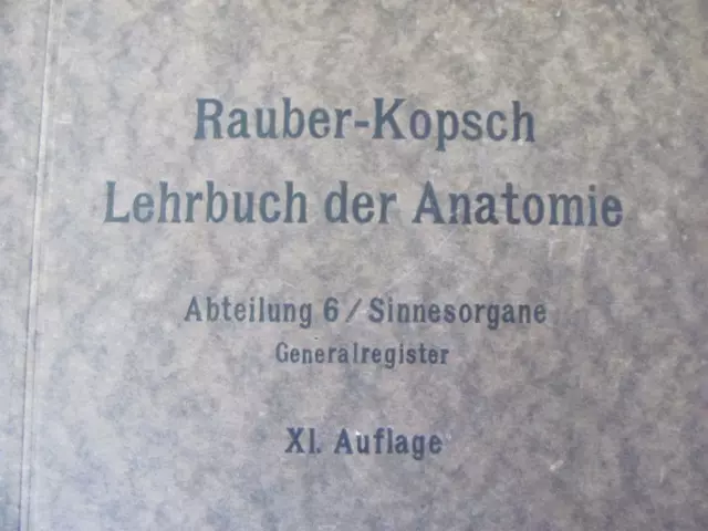 1920 Vintage German Medical Hardcover Book - Anatomy 2