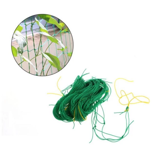 Filet treillis de jardin vert essentiel pour les plantes grimpantes saines et fo