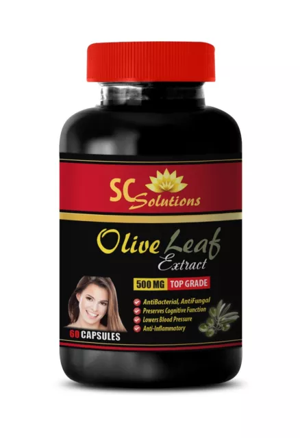 Antioxidant oral - OLIVE LEAF EXTRACT 500MG 1B - acai and green tea