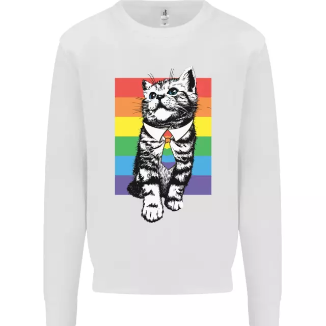 LGBT Cat Gay Pride Day Awareness Mens Sweatshirt Jumper