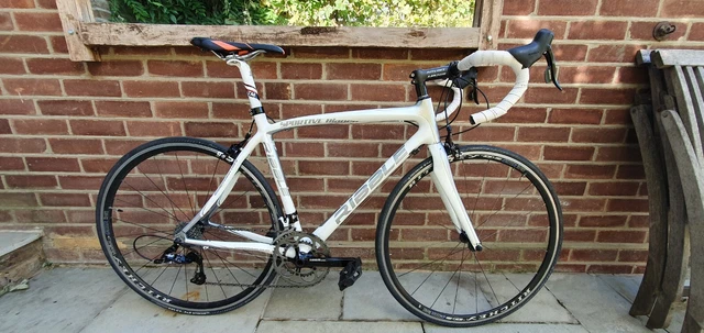 ribble sportive bianco