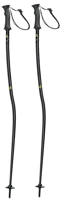 Fischer RC4 WC GS JR (2019/20) - Jugend-Skistöcke - 1 Paar (Z36119)