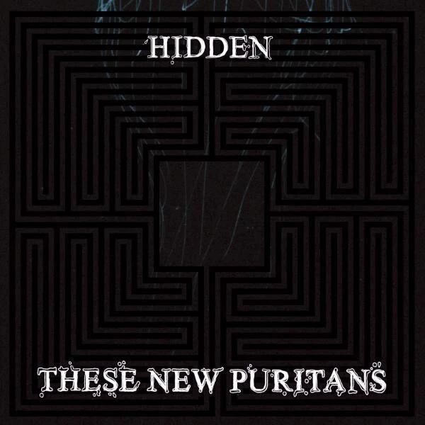 These New Puritans - Hidden (NEW CD 2010)