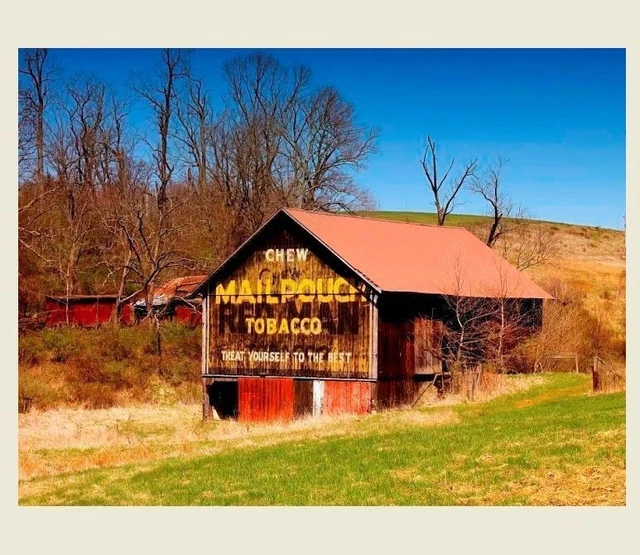 Mail Pouch Tobacco Barn PHOTO Sign, OHIO Farm Chewing Tobacco Ad
