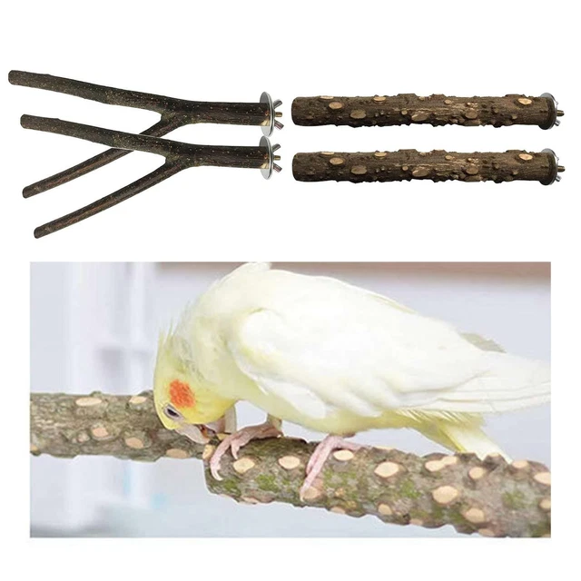 4 Stück Naturholz Papageienständer Ast   Halter Spielzeug Barsch Schleifen