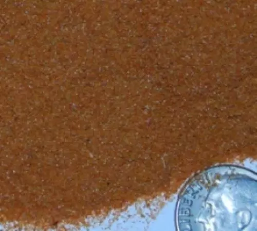 Guppy Barn Aquatics - Decapsulated Brine Shrimp (Freeze Dried)