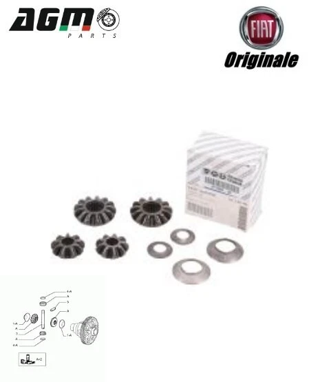 KIT RICAMBI DIFFERENZIALE Satelliti Planetari C Avvitata Originale Fiat ...