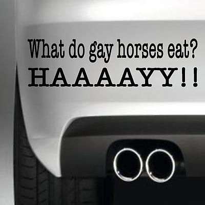 What Do Gay Horses Eat? Car Bumper Sticker Funny Drift Jdm Wall Art