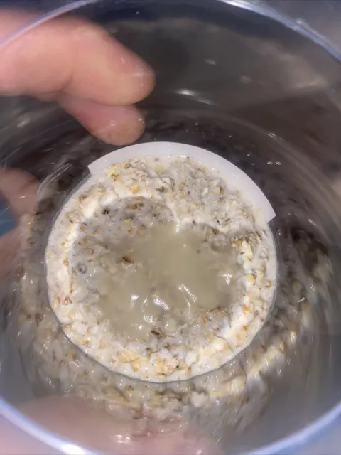 Microworm Starter Culture - Easy Live Food for Fry, Nano Fish, Guppy, Betta