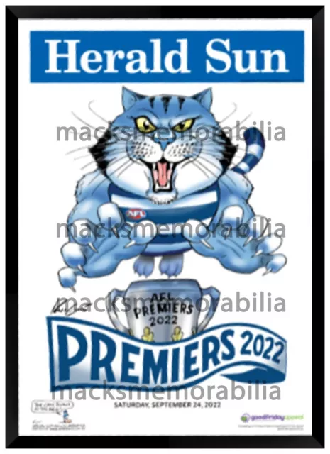 2022 Afl Premiers Geelong Cats Mark Knight Grand Final Framed Memorabilia