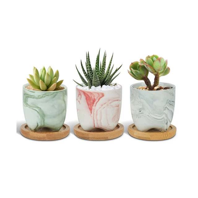 T4U 2.5 Inch Small Multi Color Ceramic Succulent Planter Pots with Bamboo Tra...