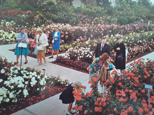 Vintage Post Card Rose Hills Memorial Park Whittier CA Pageant Of Roses Garden