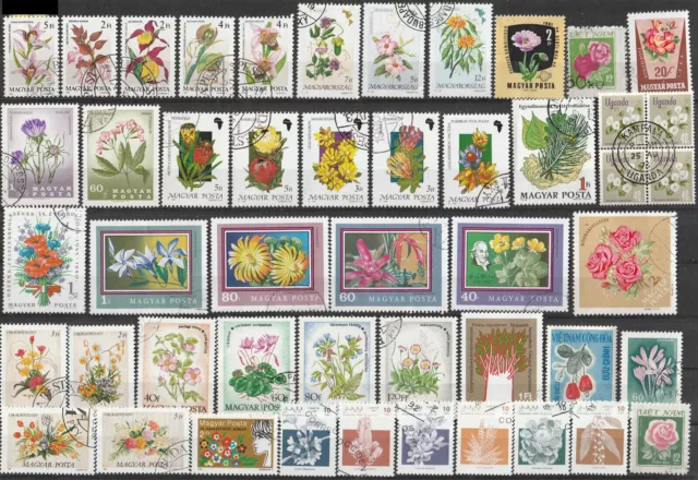 Blumen Lot Marken meist Ungarn Flowers fleurs fiori цветы flores blomster 2498