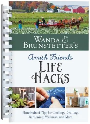 Wanda E Brunste Wanda E. Brunstetter's Amish Friends (Encuadernación de anillas)