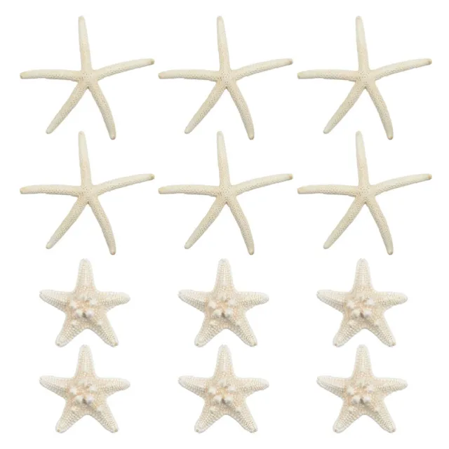 12 piezas decoración oceánica estrella de mar decoración oficina decoración navideña