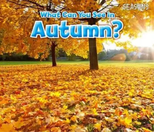Sian Smith What Can You See In Autumn? (Taschenbuch) Seasons