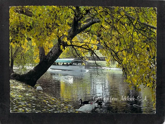 B8845 Australia SA Adelaide Popeye River Torrens pu1979 postcard