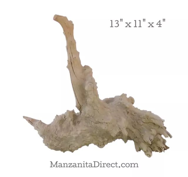 Rustic Aquarium Driftwood Burl / Reptile Decor from Manzanita Direct 0118-3