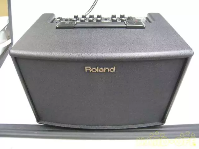 Roland AC-60 Acoustic Chorus Guitar Live Music Amplifier with Manual & Case