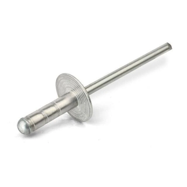 Set 50 Rivetti Ciechi Con Testa Larga Misura 4,8X10 Alluminio/Acciaio Multiuso