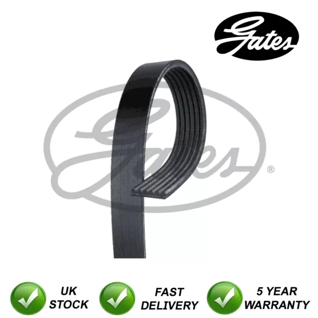 Gates V-Ribbed Belts Fits Golf Polo A3 A1 Q3 Fabia Leon Ibiza #6133