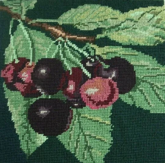 EHRMAN Cherries TAPESTRY NEEDLEPOINT KIT by KAFFE FASSETT retired RARE fruit