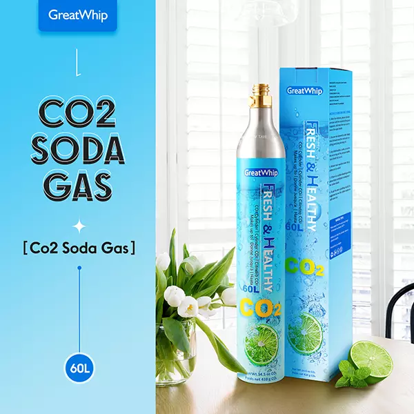 CO2 Zylinder für Soda Stream 60L 410g GreatWhip Wassersprudler Kohlensäure rein