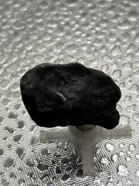 Canyon Diablo Meteorite 7.9 Grams