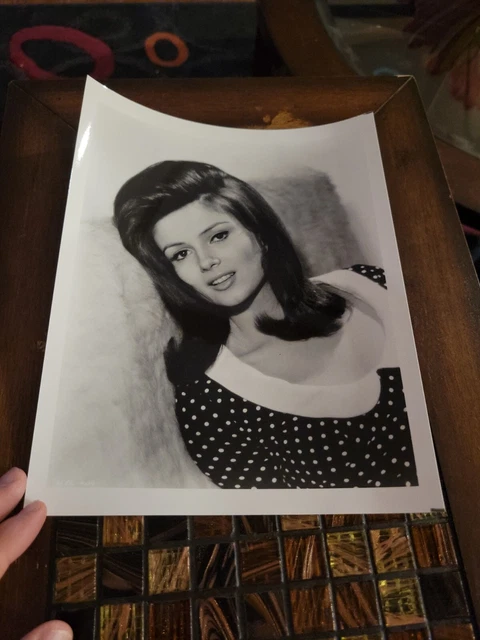 Pamela Tiffin Irving Klaw Archives, Movie Star News Vintage Photo 8x10 1970s #5 Pamela Tiffin Irving Klaw Archives, Movie Star News Vintage Photo 8x10 1970s #5