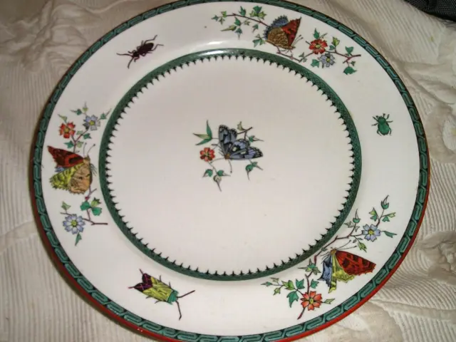 FAIENCE DE MINTON - Grande ASSIETTE PLATE aux papillons  - modèle BUTTERFLY