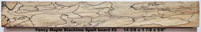 Stabilized Fancy Maple Blackline Spalt box wood #2, gun grips, craft wood, scale