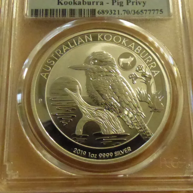 Australia 1$ Kookaburra 2019 privy Pig MS70 silver 99.9% 1 oz in SLAB   (argent) 2