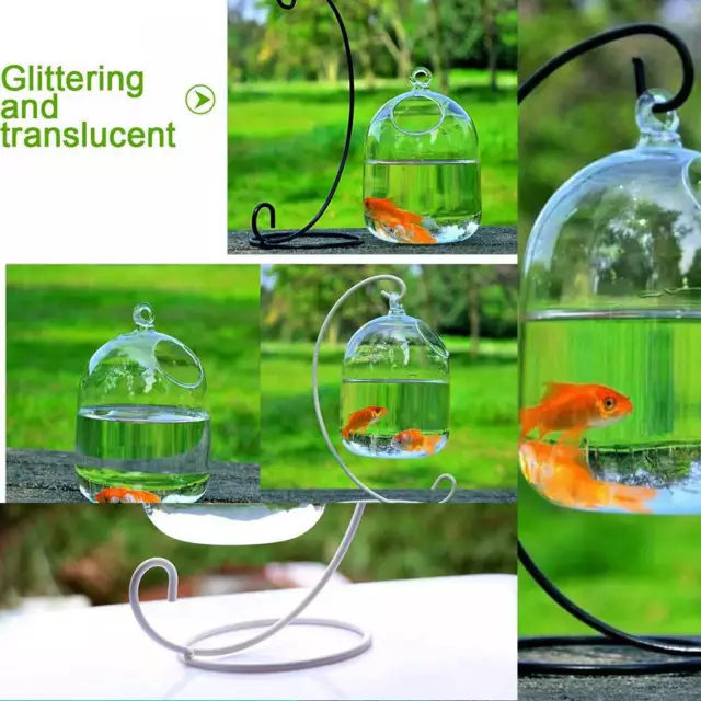 Hanging Transparent Glass Aquarium Fish Bowl Fish Tank With Holder