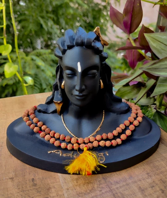 Adiyogi Statue Usa Adiyogi Shiva Statue Facts Youtu B vrogue.co